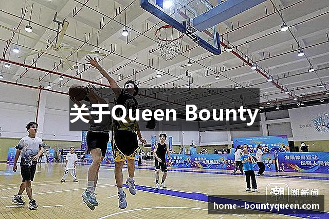 关于Queen Bounty